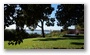 Kings Park, Perth