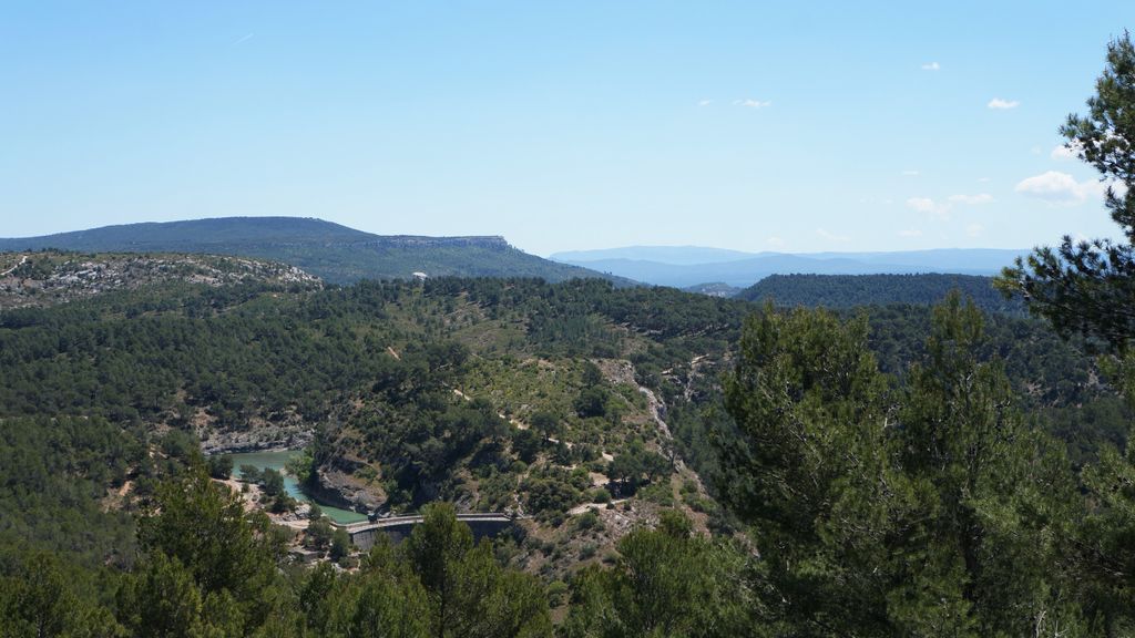 In the forest on the side of the St Victoire (Plateau de Bibémus, with a view on the 