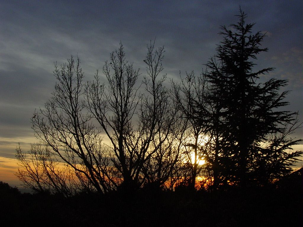 dsc00705.jpg