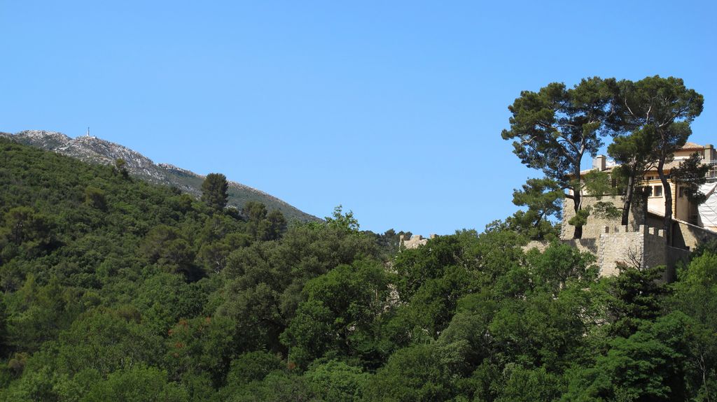 In the forext around Vauvenargues, nearby Aix-en-Provence