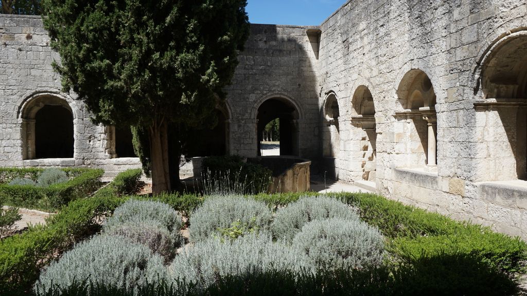 Silvacane Abbey, in La Roque-d'Anthéron, one of the three medieval Cistercian abbeys of Provence (alongside Sénanque and le Thoronet), also referred to as the “three sisters of Provence” (“les trois sœurs provençales“).