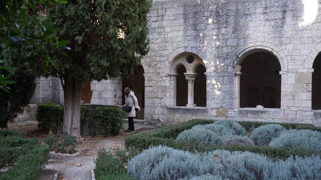 Silvacane Abbey, in La Roque-d'Anthéron, in winter lights