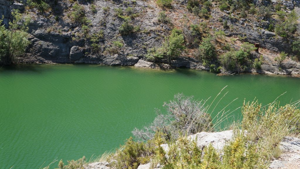 Forest on the St. Victoire by Le Tholonet, nearby Aix-en-Provence