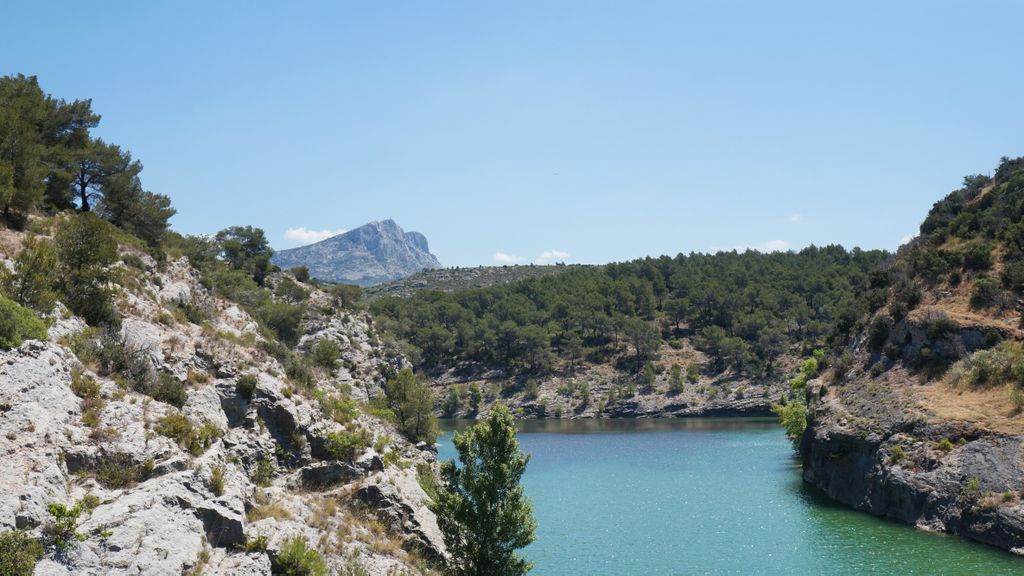 Forest on the St. Victoire by Le Tholonet, nearby Aix-en-Provence