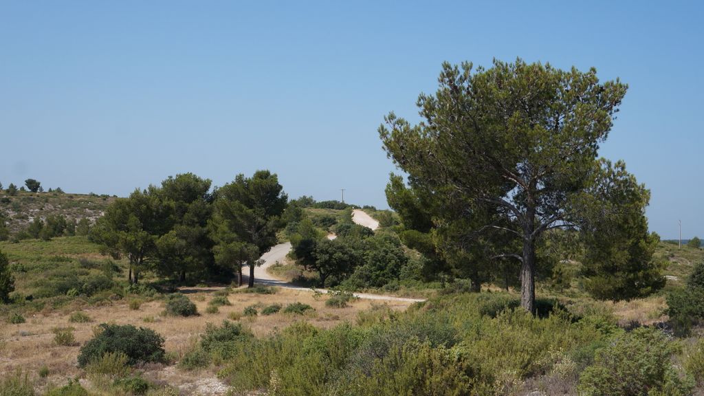 The road on the hills by St Victoire, nearby the Barrage de Bimon, nearby Aix-en-Provence