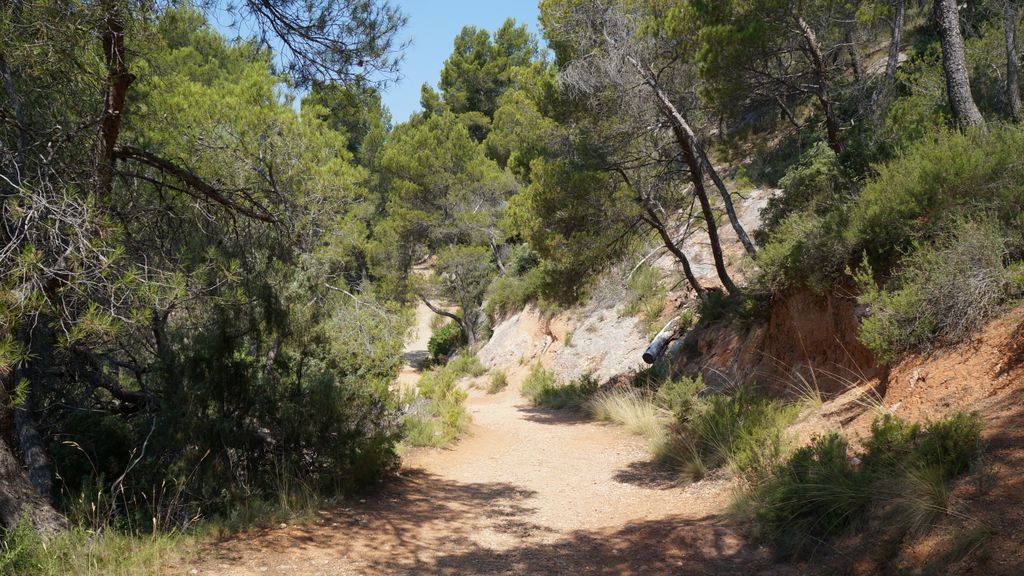 On the path between the Barrage Bimont and le Tholonet, on the side of the St Victoire