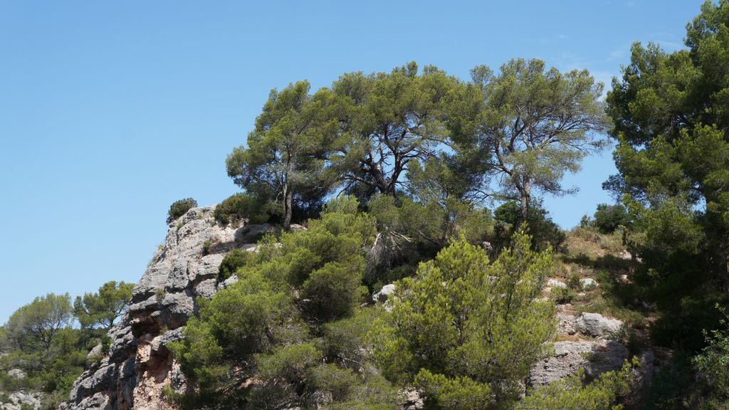 On the path between the Barrage Bimont and the Barrage Zola, on the side of the St Victoire