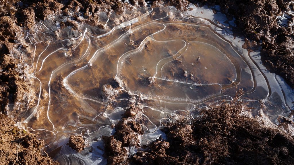 The shapes of Nature (frozen puddles breaking up naturally)