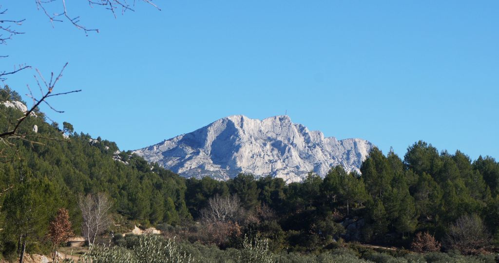 On the hillside of the St. Victoire