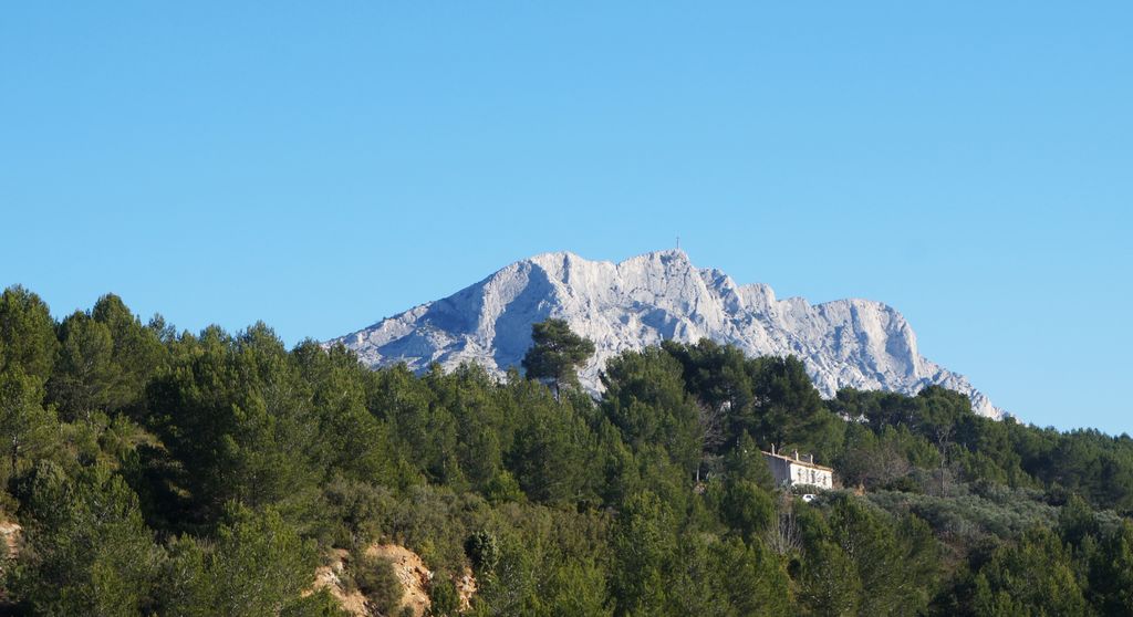 On the hillside of the St. Victoire