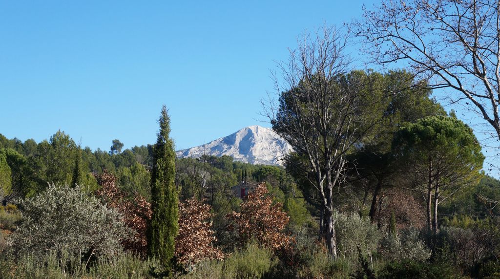On the hillside of the St. Victoire