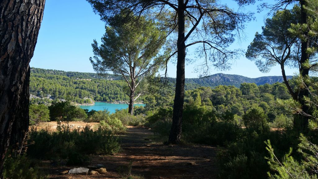 Late summer on the slopes of the Sainte Victoire, Aix-en-Provence