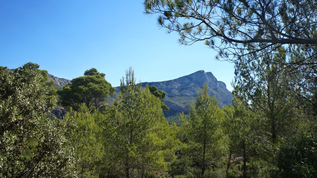 Late summer on the slopes of the Sainte Victoire, Aix-en-Provence