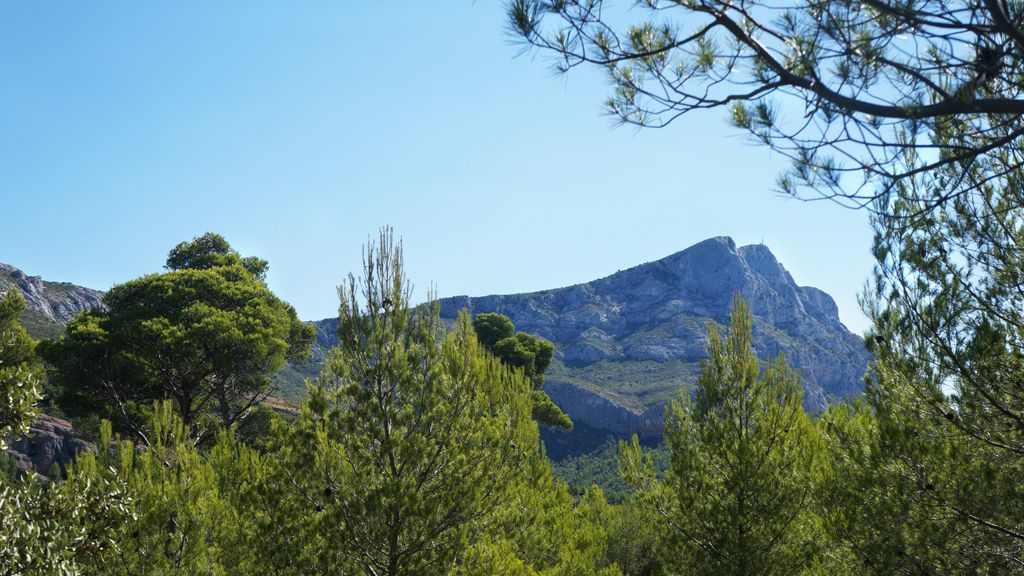 Late summer on the slopes of the Sainte Victoire, Aix-en-Provence