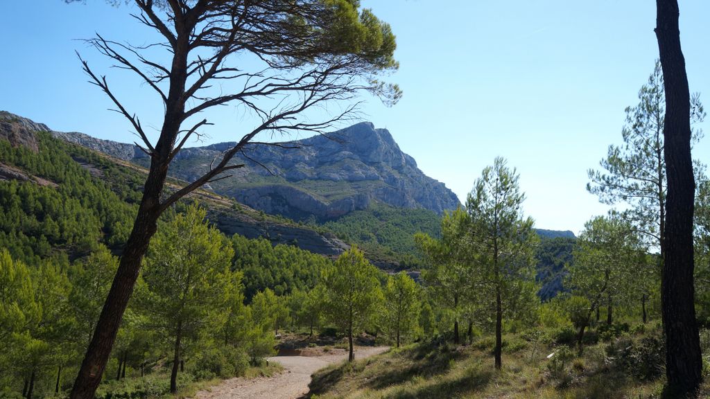 Late summer on the slopes of the Sainte Victoire, Aix-en-Provence