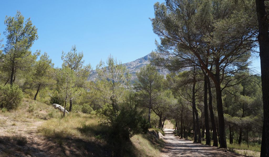 On the slopes of the St. Victoire, nearby Aix-en-Provence