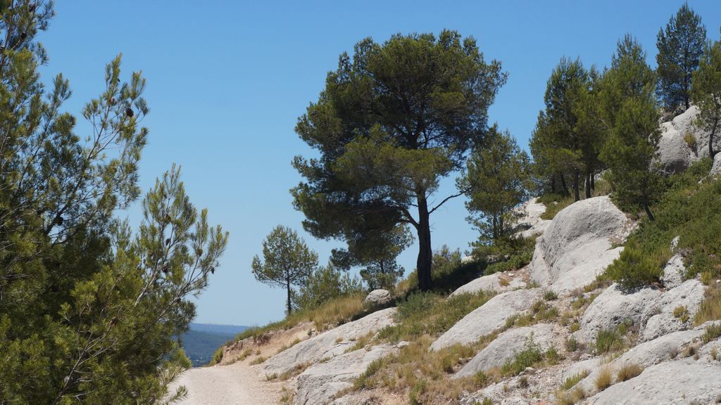 On the slopes of the St. Victoire, nearby Aix-en-Provence