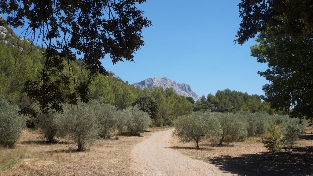 On the slopes of the St. Victoire, nearby Aix-en-Provence