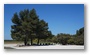 In the forest on the side of the St Victoire, Aix-en-Provence