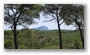 On the path between the Barrage Bimont and the Barrage Zola, on the side of the St Victoire