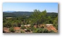 Forest on the slopes of the St Victoire mountain, by le Tholonet, nearby Aix-en-Provence