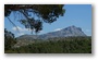 Forest on the St. Victoire by Le Tholonet, nearby Aix-en-Provence