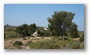 The road on the hills by St Victoire, nearby the Barrage de Bimon, nearby Aix-en-Provence