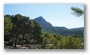 Late summer on the slopes of the Sainte Victoire, Aix-en-Provence