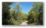 Late summer on the slopes of the Sainte Victoire, Aix-en-Provence