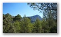 Late summer on the slopes of the Sainte Victoire, Aix-en-Provence