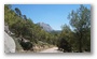 On the slopes of the St. Victoire, nearby Aix-en-Provence