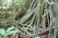 cimg_1356