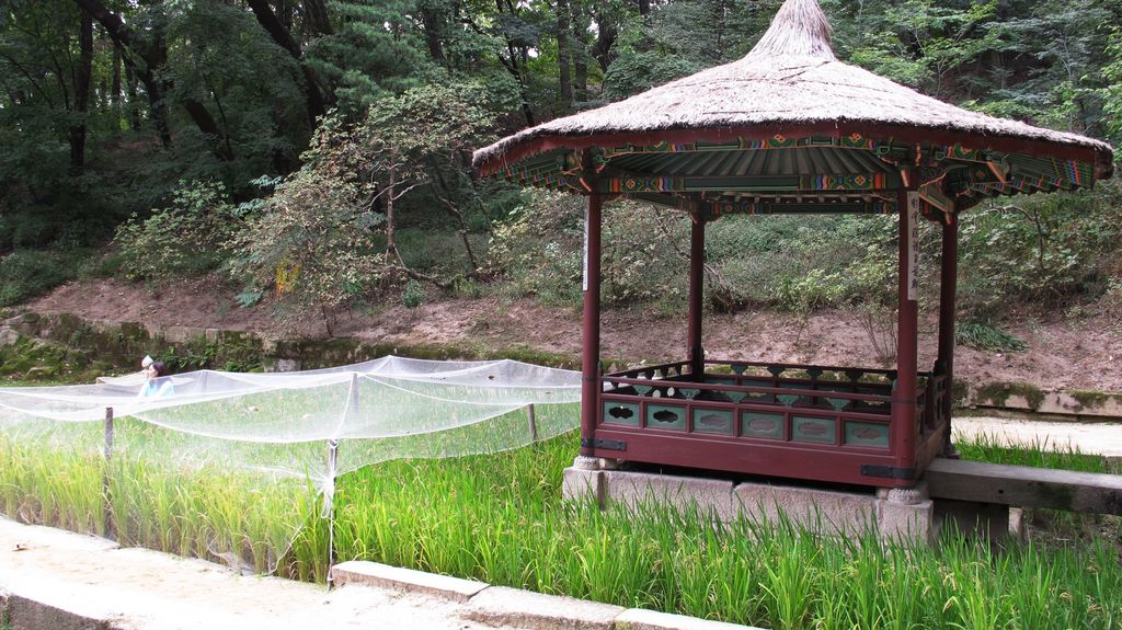 Secret Garden, Changdeokgung Palace, Seoul, South Korea
