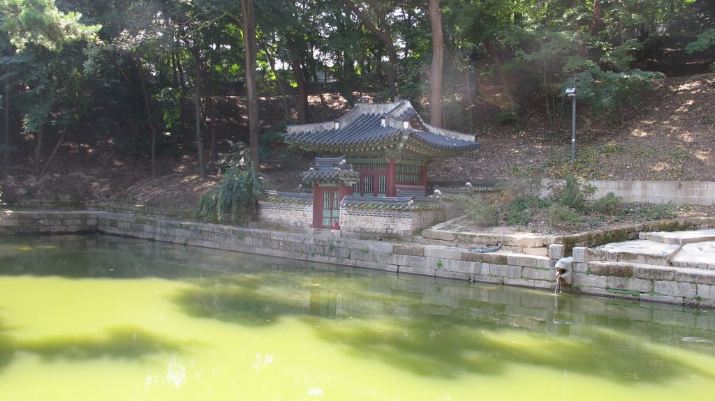 Secret Garden, Changdeokgung Palace, Seoul, South Korea