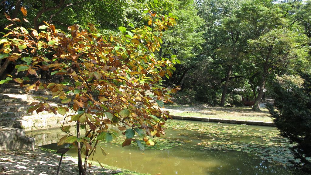 Secret Garden, Changdeokgung Palace, Seoul, South Korea