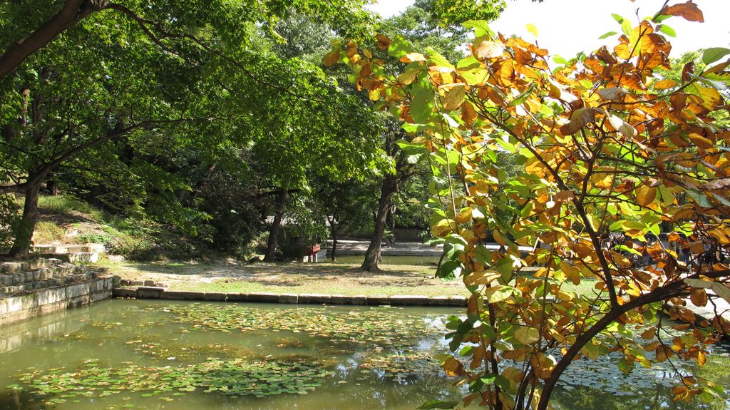 Secret Garden, Changdeokgung Palace, Seoul, South Korea