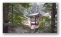 Secret Garden, Changdeokgung Palace, Seoul, South Korea