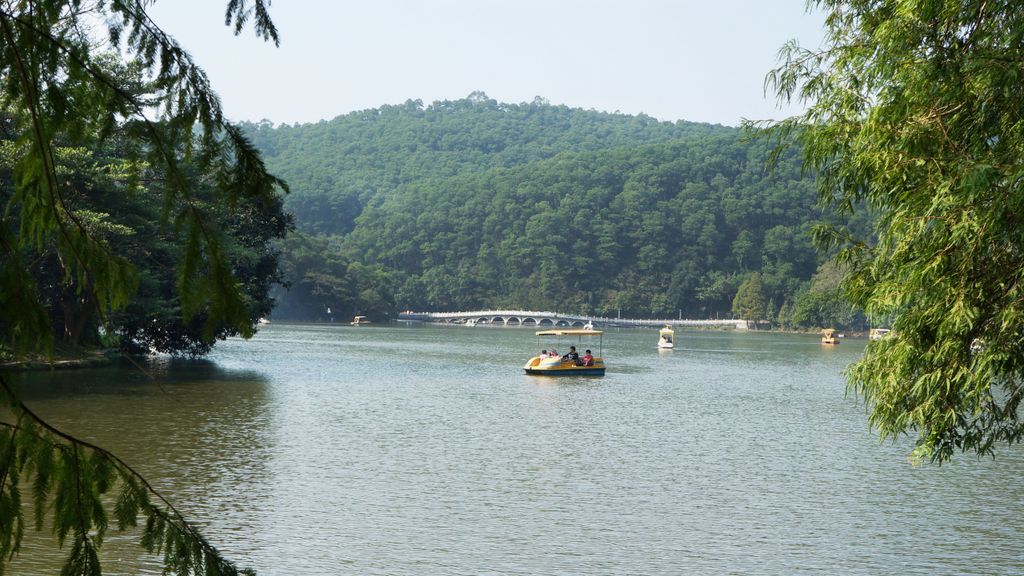 Fairly Lake Botanical Garden, Shenzhen, China