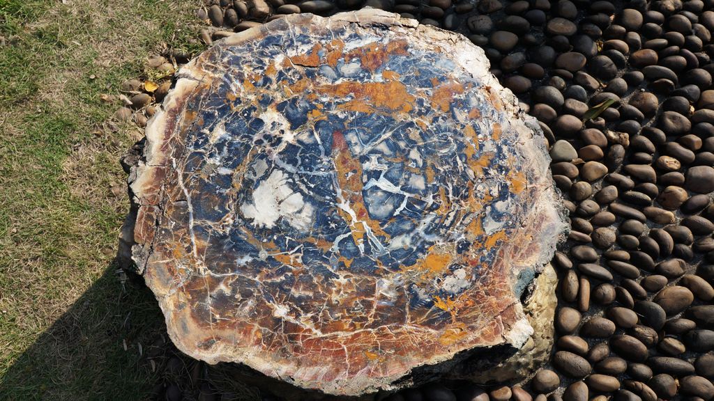 Petrified Forest, Fairly Lake Botanical Garden, Shenzhen, China