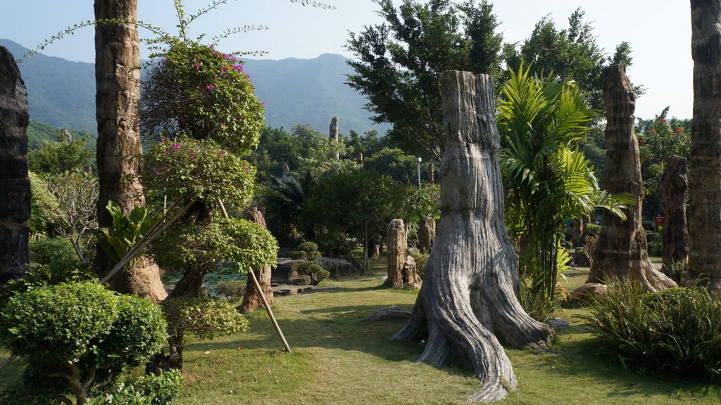 Petrified Forest, Fairly Lake Botanical Garden, Shenzhen, China