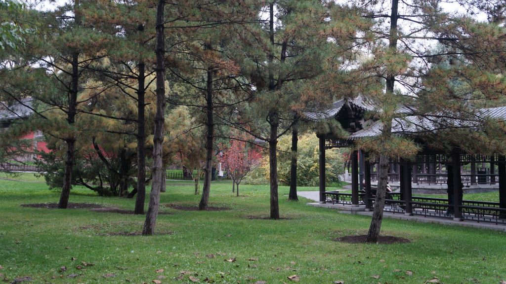 Jinci Park and Temple, Taiyuan. (It was founded about 1,400 years ago and expanded during the following centuries, resulting in a diverse collection of more than 100 sculptures, buildings, terraces, and bridges.)