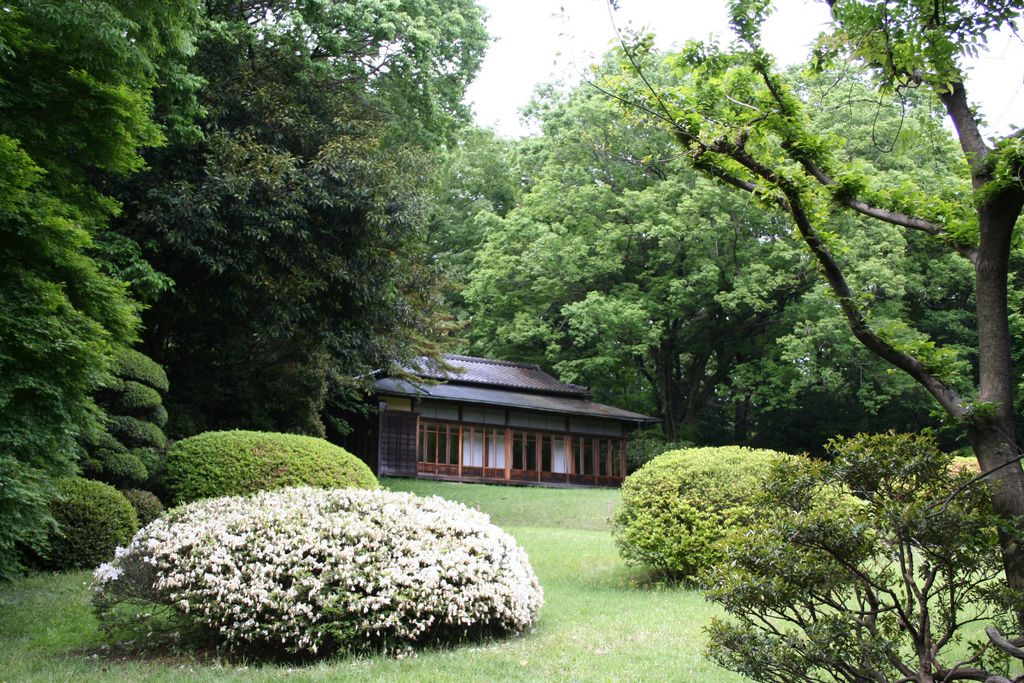 Menji gardens, in the Menji park