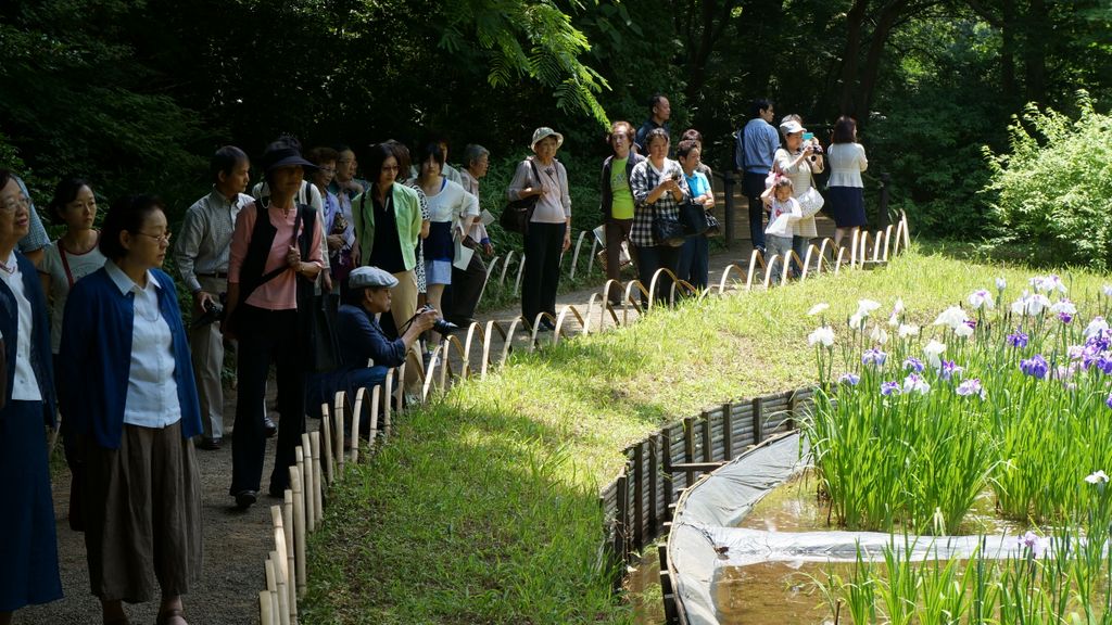 Meiji Shrine Inner Garden, Tokyo, Japan