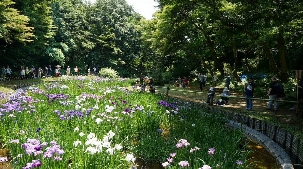 Meiji Shrine Inner Garden, Tokyo, Japan