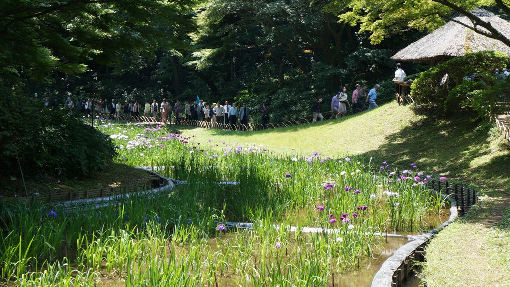 Meiji Shrine Inner Garden, Tokyo, Japan