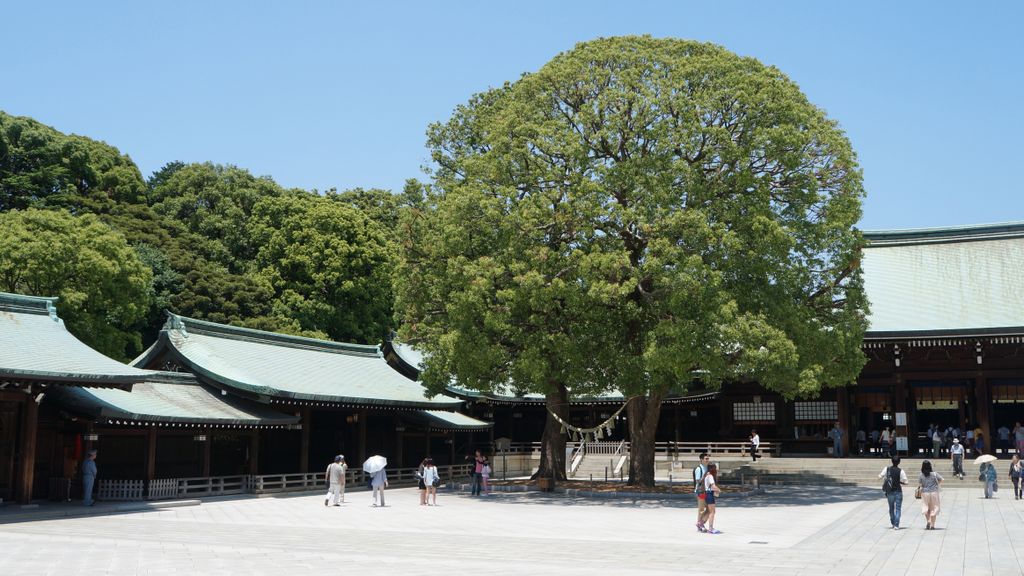 Meiji Shrine, Tokyo, Japan